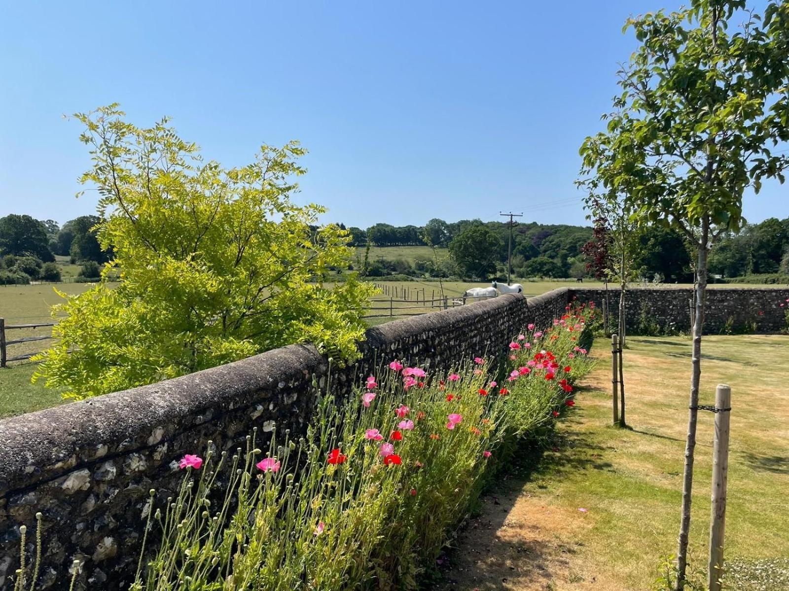 Old Selden Farm B&B Clapham  外观 照片