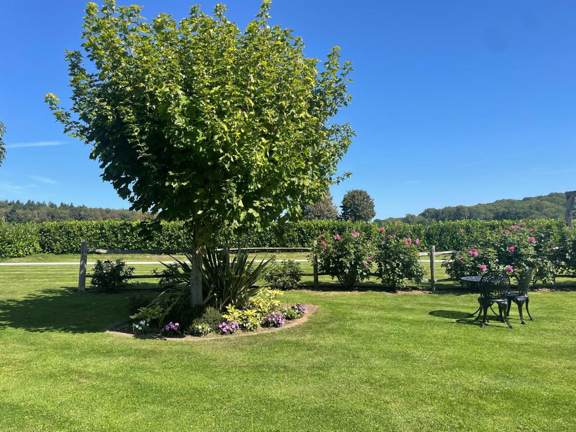 Old Selden Farm B&B Clapham  外观 照片