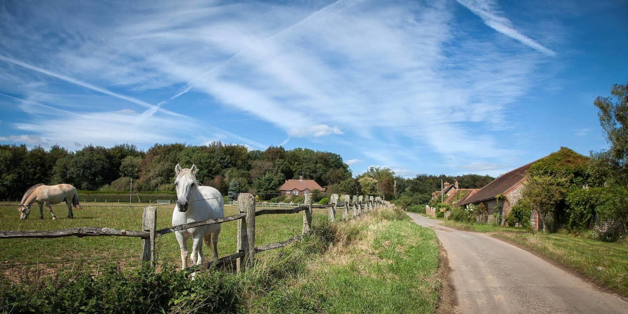Old Selden Farm B&B Clapham  外观 照片