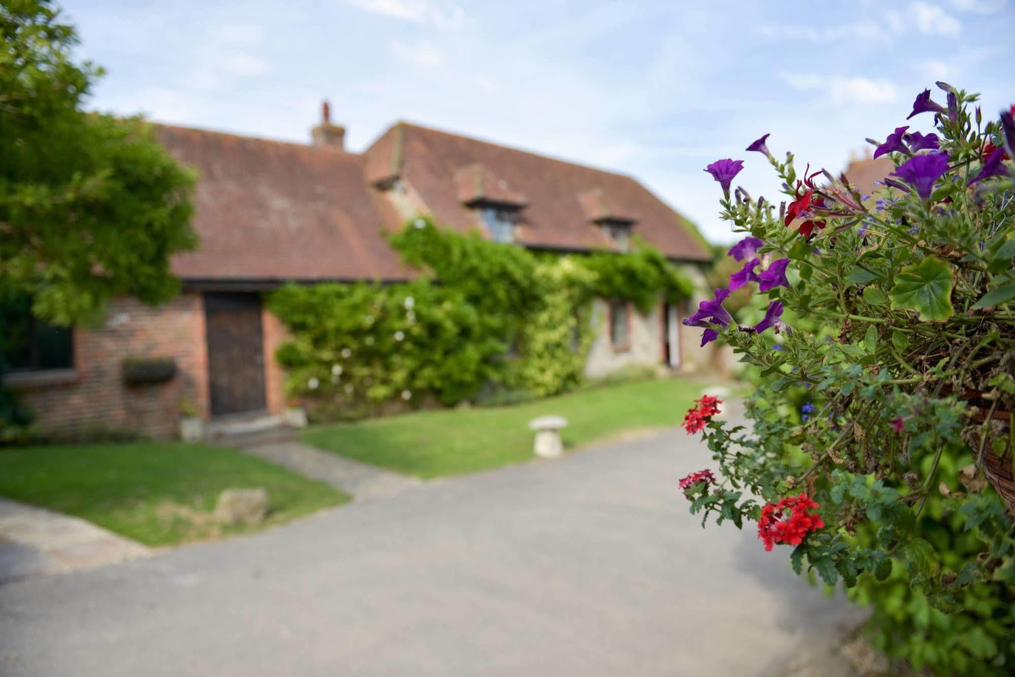 Old Selden Farm B&B Clapham  外观 照片