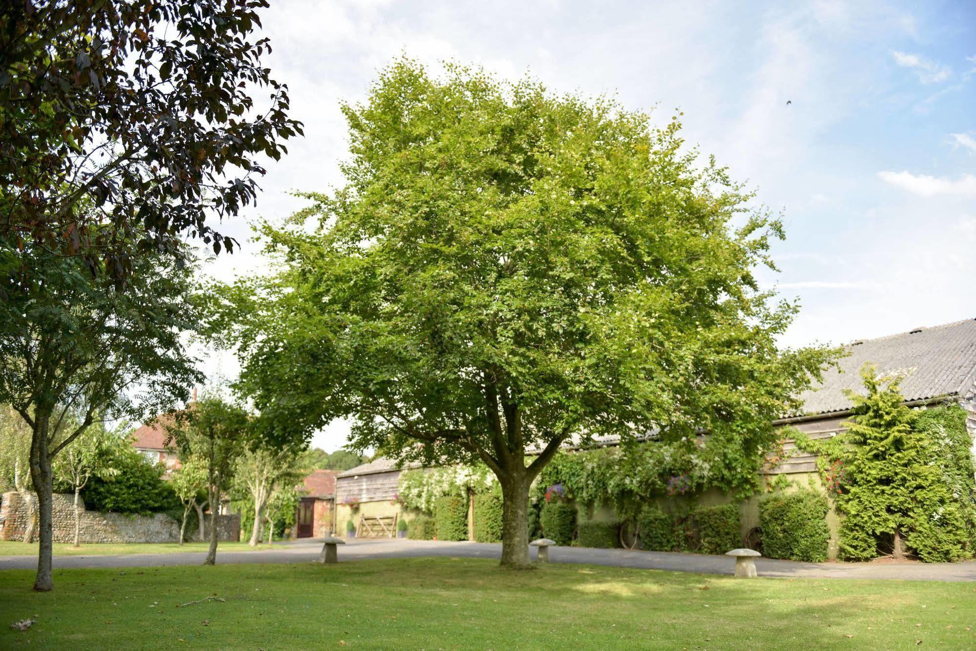 Old Selden Farm B&B Clapham  外观 照片