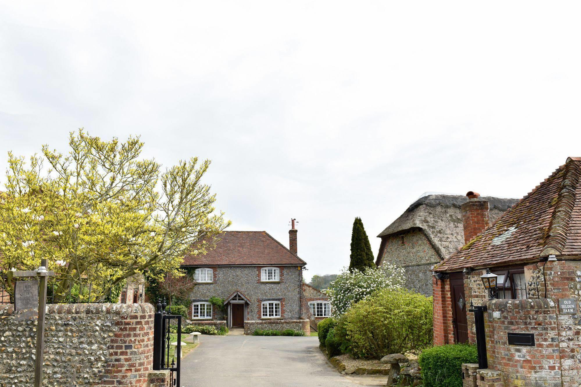 Old Selden Farm B&B Clapham  外观 照片